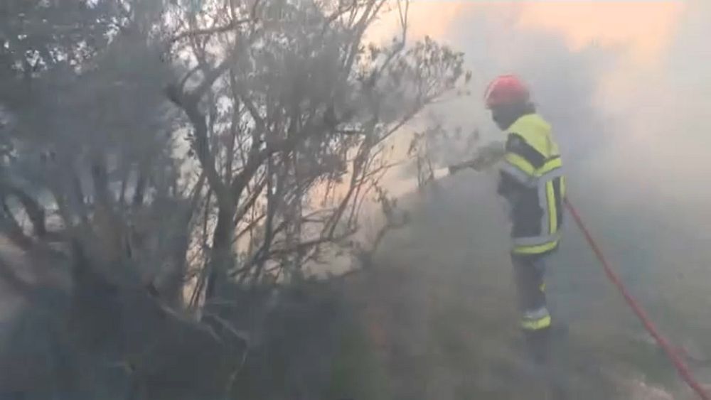 Soğuk Şubat sıcaklıklarına rağmen orman yangını Fransa’da hektarları yok etti