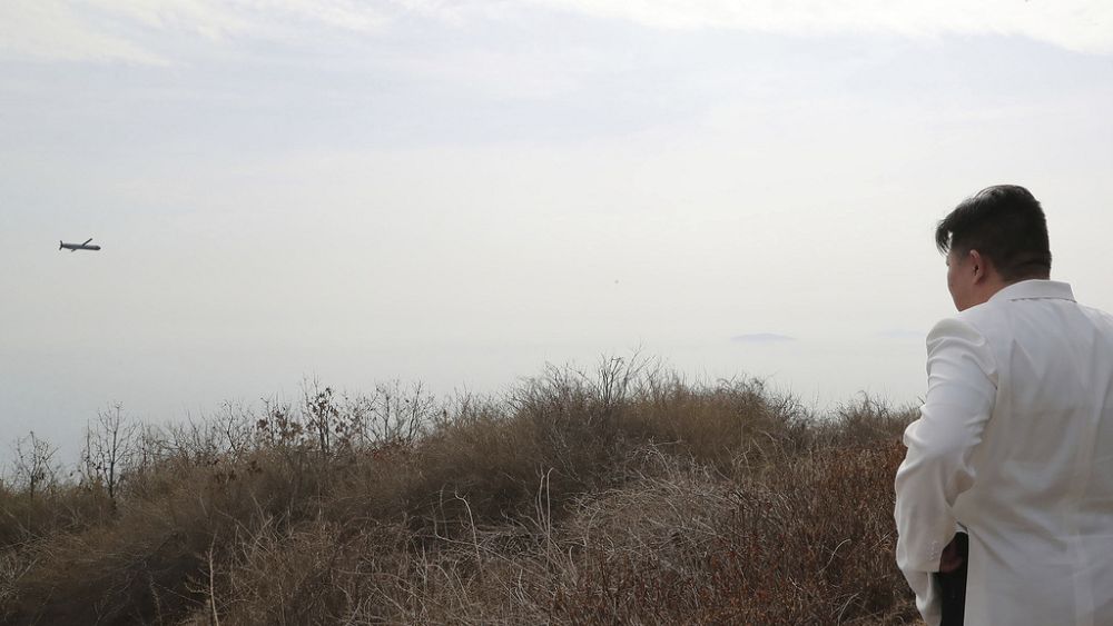 Kuzey Kore, sualtı hava aracının ‘radyoaktif tsunami’ salabileceğini iddia ediyor