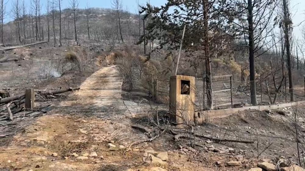 ‘Evim tamamen yandı’: Yunan köylüleri orman yangınlarının yol açtığı yaralanmayı görmek için evlerine dönüyor