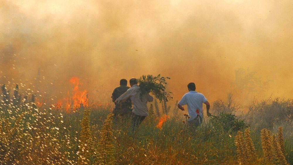 İtalya’nın Sardinya bölgesinde orman yangınları sergilenirken 600’den fazla kişi tahliye edildi