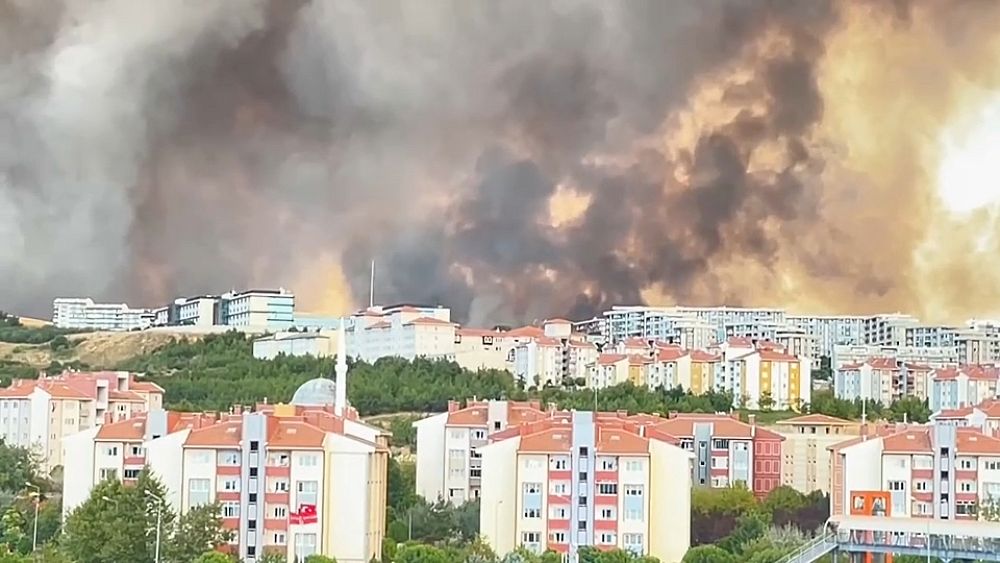 Yunanistan’daki orman yangınları Türkiye’ye ayrılırken Ankara 1.200’den fazla kişiyi tahliye etti