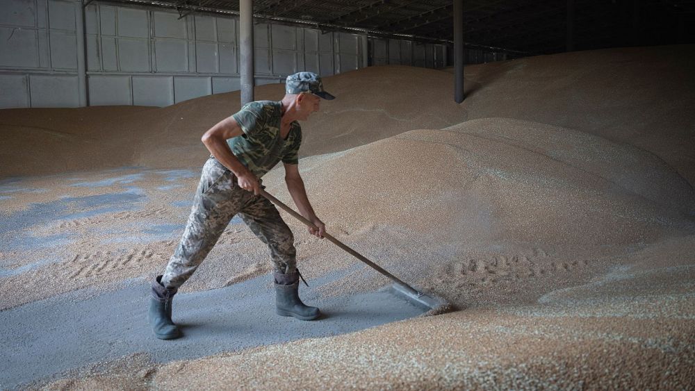 Zor durumdaki Ukraynalı çiftçi, iş kazası kalma mücadelesini anlatıyor