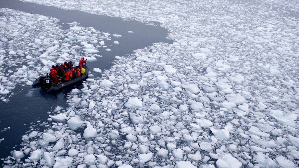 Antarktika: Son raporda deniz buzunun erimesinin ‘henüz geri gidemediği’ belirtiliyor