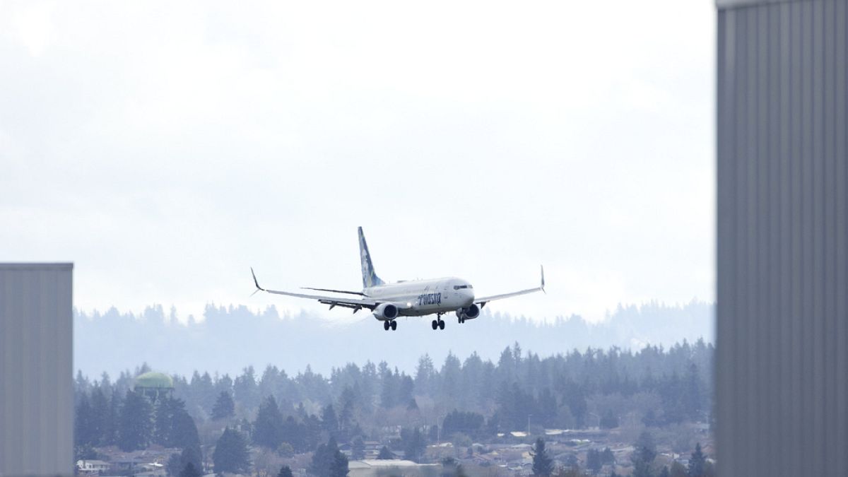 Havayolları Boeing uçak kontrollerinde programlayıcılar buldular