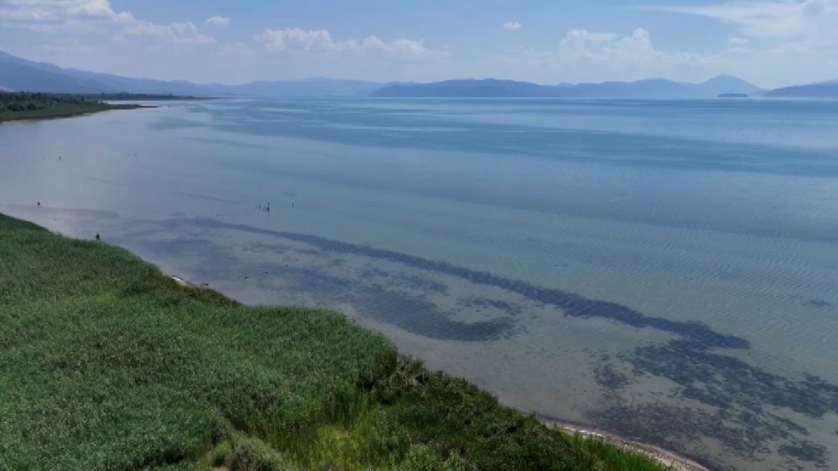 Balkan ülkelerinin nesli tükenmekte olan ortak gölü korumak için komite oluşturulmuştur