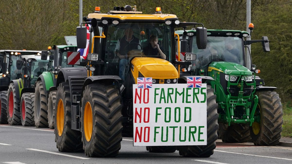 ‘Katledildi’: Birleşik Krallık’taki çiftçiler Brexit sonrası kuralları ve ticaret anlaşmalarını protesto etti