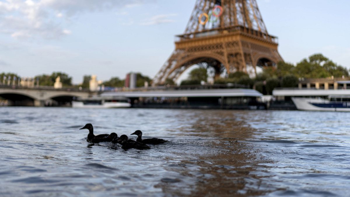 Olimpiyat triatletleri günlerdir su kalitesiyle ilgili endişelerin ardından Paris’in Seine Nehri’nde yüzleşecek