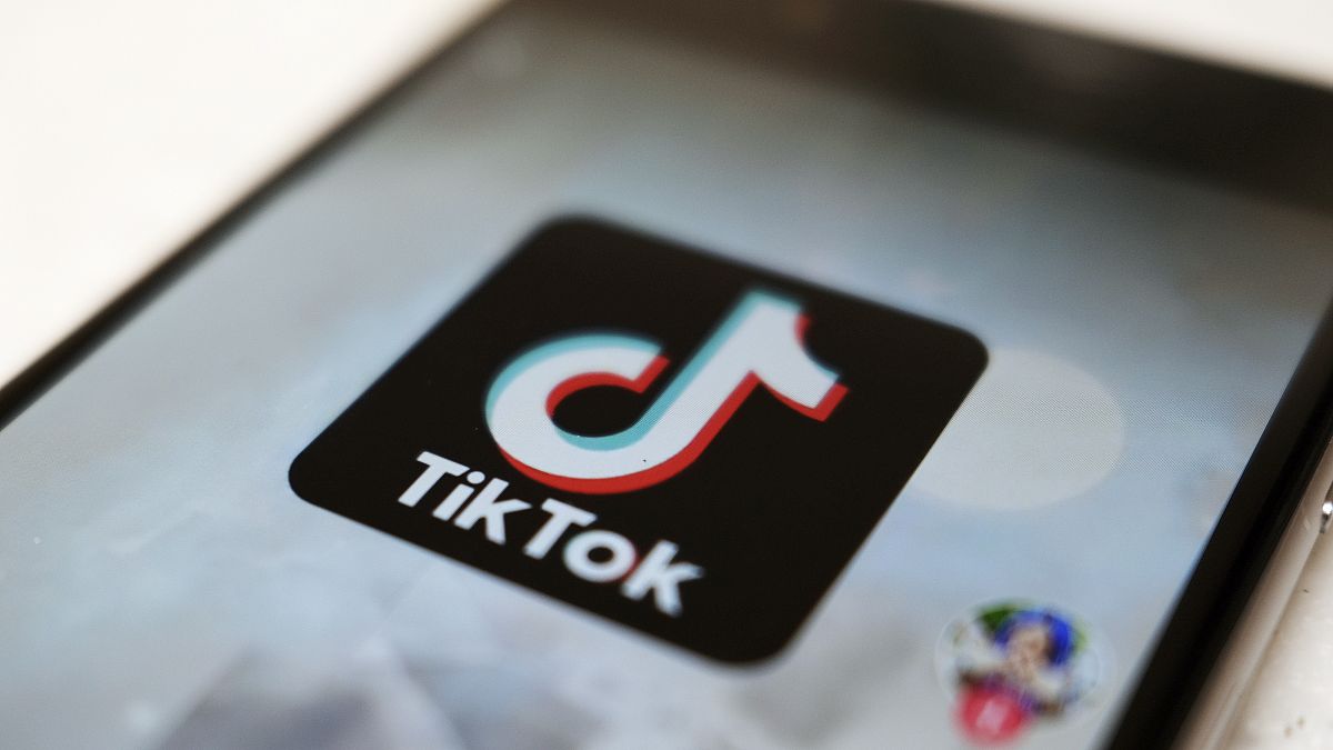 TikTok, AB seçimleri öncesinde ‘kadın düşmanlığını ve olumsuz stereotipleri teşvik etti’