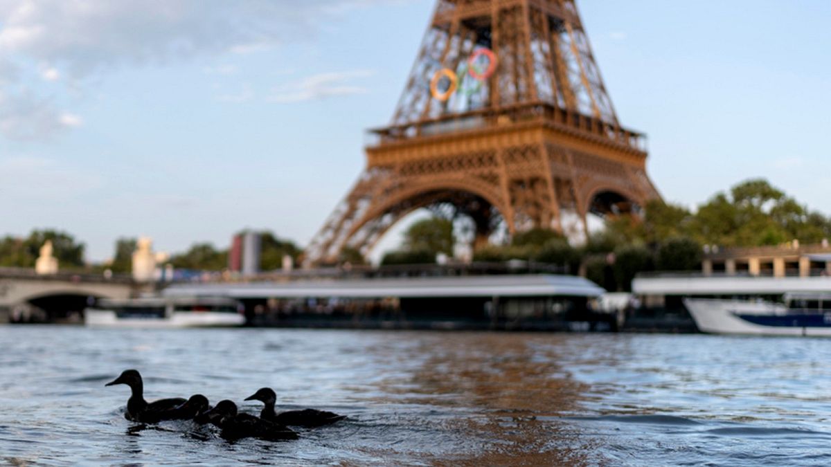 Yüzmek güvenli değil: Paris Olimpiyatları etkinliği Seine su kalitesi endişeleri nedeniyle iptal edildi