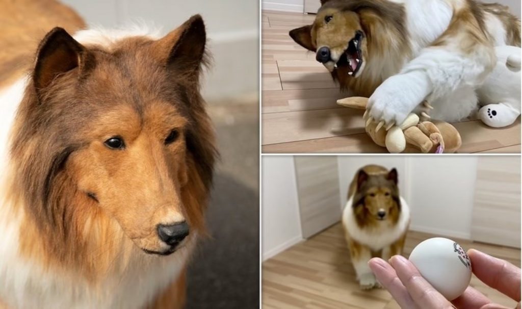 featured