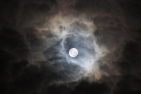 e-Devlet-Kapisi-Mayis-Ayinda-Rekor-Kirdi-238-Binden-Fazla-Yeni-Kullanici-featured